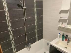 Chambre dans appartement